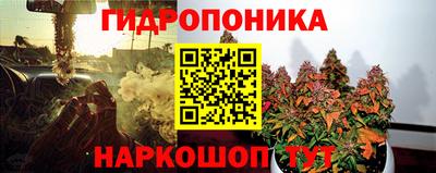 ГАЛЛЮЦИНОГЕННЫЕ ГРИБЫ Лесосибирск