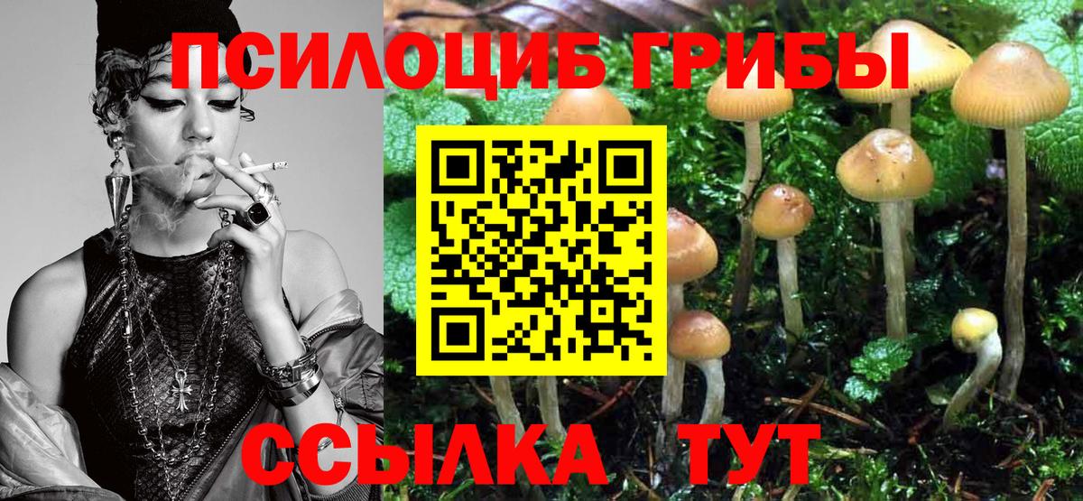 Псилоцибиновые грибы Psilocybine cubensis Златоуст